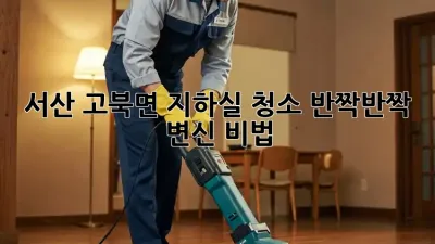 서산 고북면 지하실 청소🧹, ✨반짝반짝✨ 변신 비법!